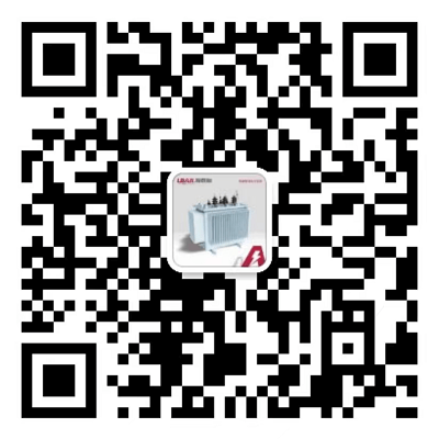 江西利百加电气有限公司